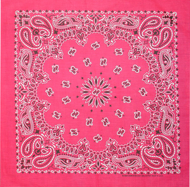 Bandanna Hot Pink Paisley 22 x 22 [3539] : OldTradingPost.com Western ...