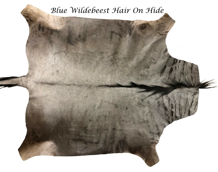 (image for) Blue Wildebeest Skin Hair On Hide 75x55