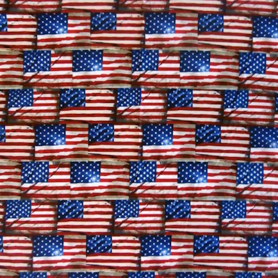 Stars & Stripes Print Western Bandanna [4176F] : Old Trading Post ...