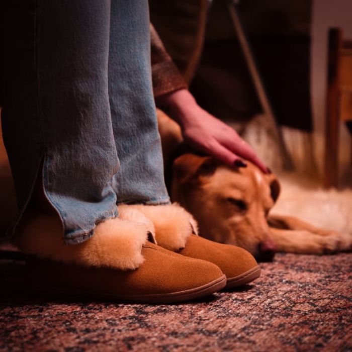 (image for) Sheepskin Ankle Boots